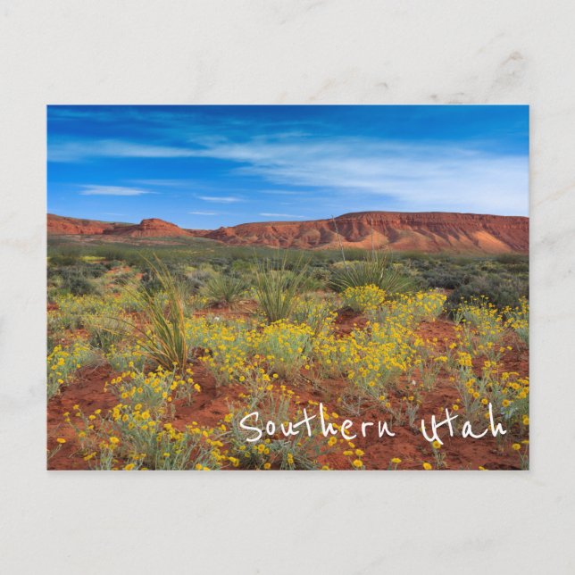 Southern Utah Wildflowers Postcard (Front)
