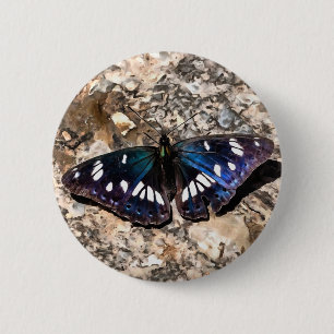 Southern White Admiral Blue Butterfly Painting 6 Cm Round Badge