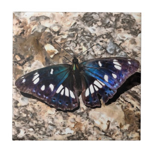 Southern White Admiral Blue Butterfly Painting Ceramic Tile