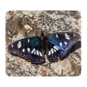 Southern White Admiral Blue Butterfly Painting Cutting Board