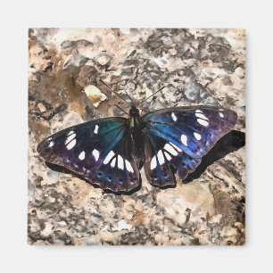 Southern White Admiral Blue Butterfly Painting Magnet