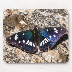Southern White Admiral Blue Butterfly Painting Mouse Pad