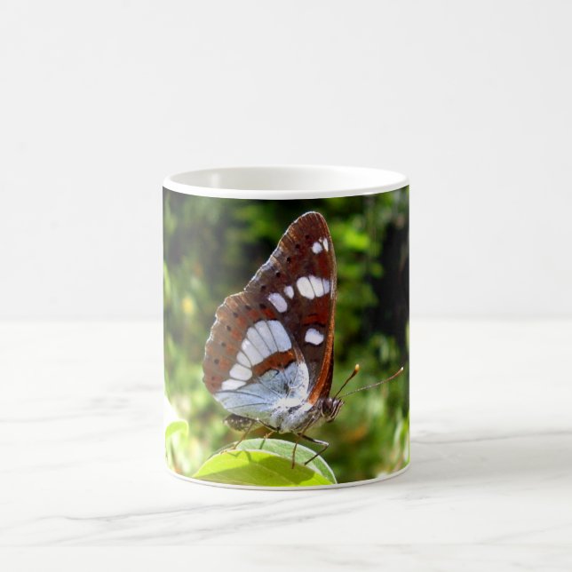Southern White Admiral Butterfly Bug Mug (Center)
