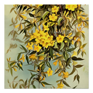 Southern Wildflower Carolina Jasmine Art Poster