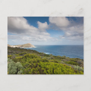 Southwest Australia, Albany Postcard