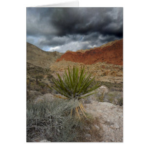 Southwest Blank All Occasion Greeting Card