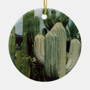 Southwest Cactus Ceramic Ornament