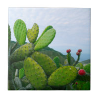 Southwest Cactus Prickly Pear Succulent Desert