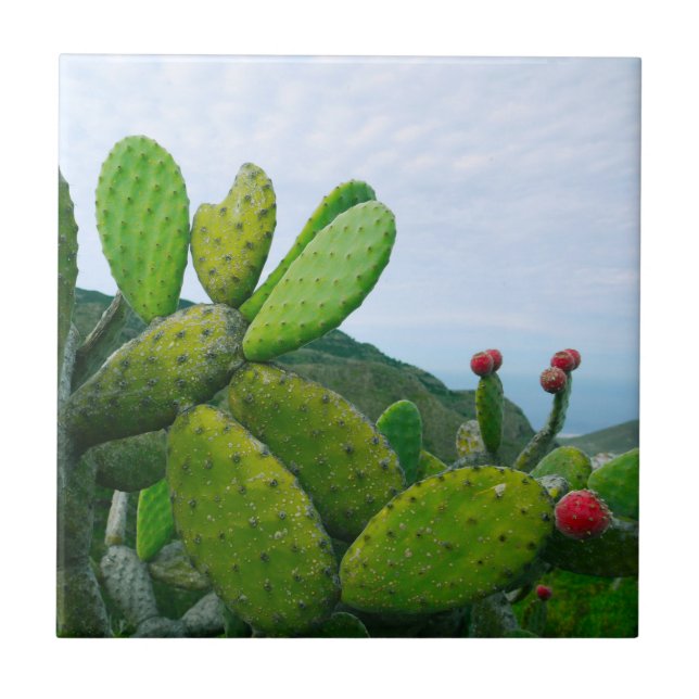 Southwest Cactus Prickly Pear Succulent Desert Ceramic Tile (Front)