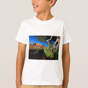 Southwest Christmas T-Shirt