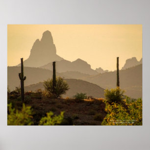 Southwest Desert Mountains Weaver's Needle Arizona Poster