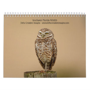 Southwest Florida Wildlife 2026 Calendar