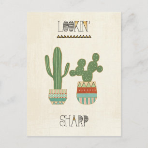 Southwest Geo IX   Lookin' Sharp Postcard