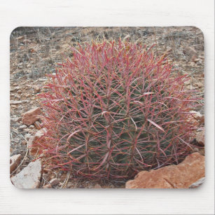 Southwest Red Barrel Cactus Photo Arizona Desert Mouse Pad