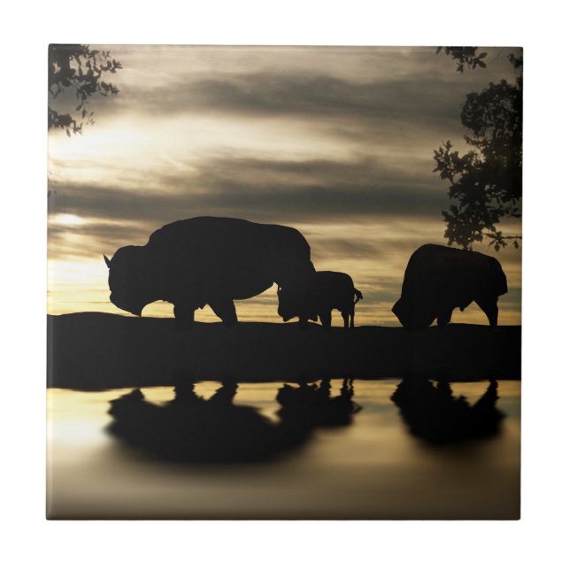 Southwestern Art Tile (Front)