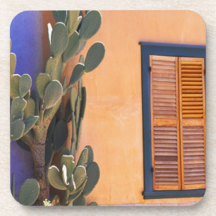 Southwestern Cactus (Opuntia dejecta) and Coaster