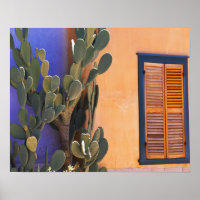 Southwestern Cactus (Opuntia dejecta) and