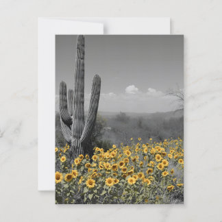 Southwestern Desert Saguaro Cactus and Sunflowers Postcard