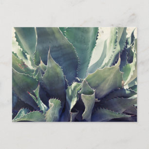 Southwestern Flower Postcard
