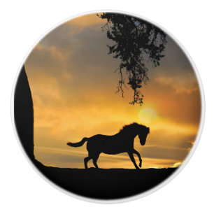 Southwestern Galloping Horse Country Ceramic Knob