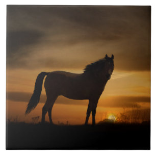 Southwestern Horse and Sun Art Tile
