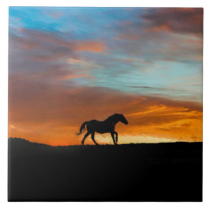 Southwestern Horse and Sunrise Art Tile