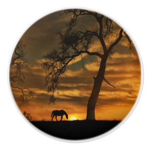 Southwestern Horse Knobs and Pulls