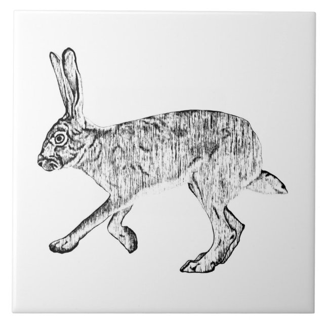 Southwestern Jackrabbit  Pen and Ink Art Ceramic Tile (Front)