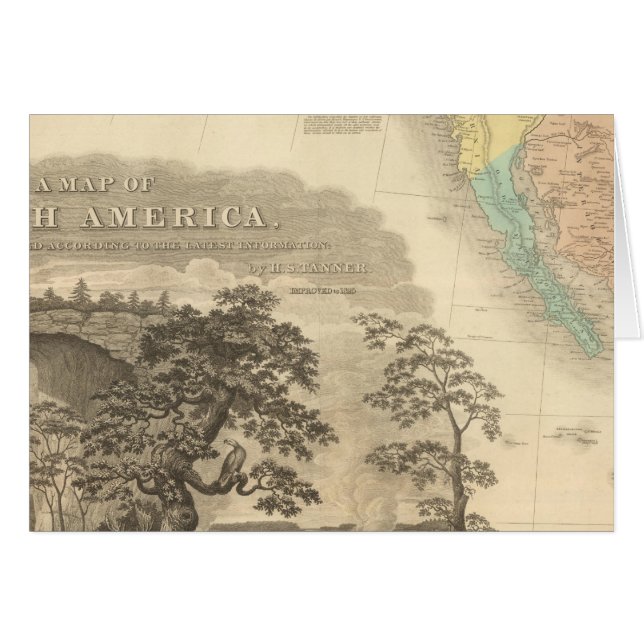 Southwestern North America (Front Horizontal)