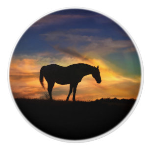 Southwestern Sunset Horse Knobs and Pulls