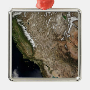 Southwestern United States Metal Tree Decoration