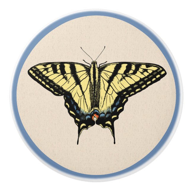 Southwestern Yellow Swallowtail Butterfly  Ceramic Knob (Front)