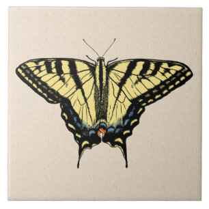 Southwestern Yellow Swallowtail Butterfly Ceramic Tile