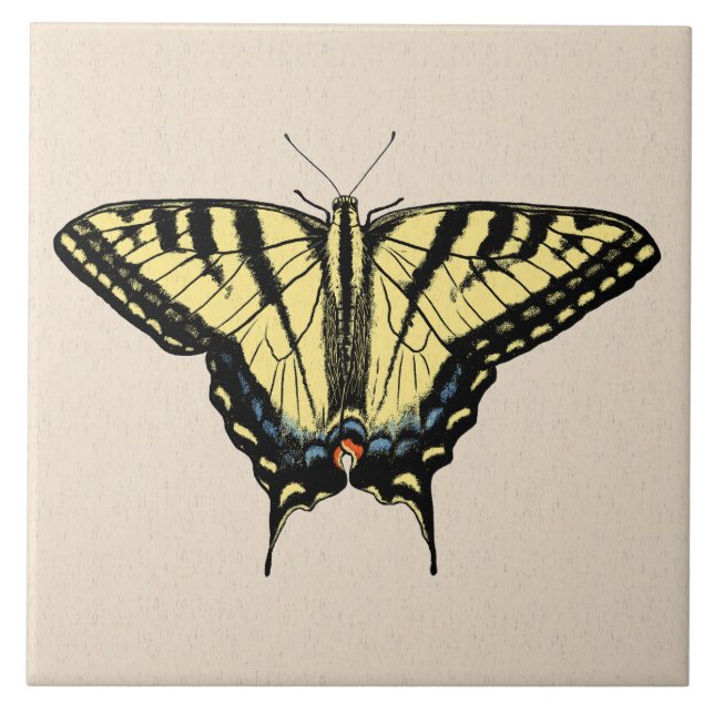 Southwestern Yellow Swallowtail Butterfly   Ceramic Tile (Front)