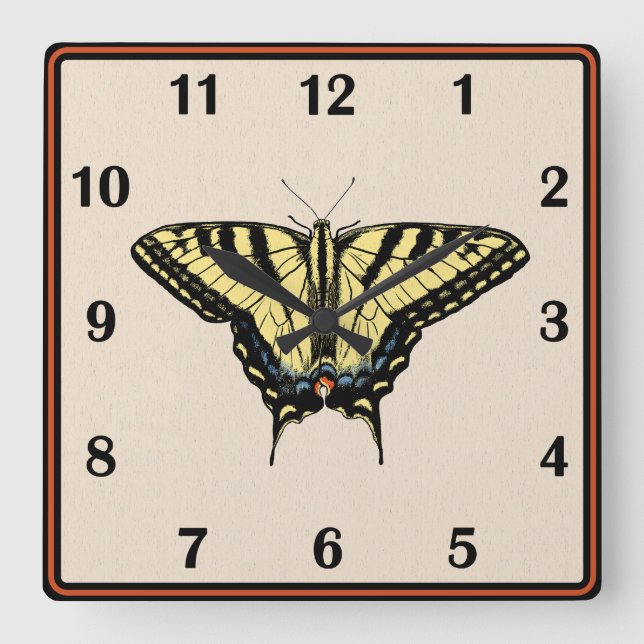 Southwestern Yellow Swallowtail Butterfly Square Wall Clock (Front)