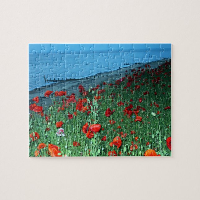 Southwold Poppies Jigsaw Puzzle (Horizontal)
