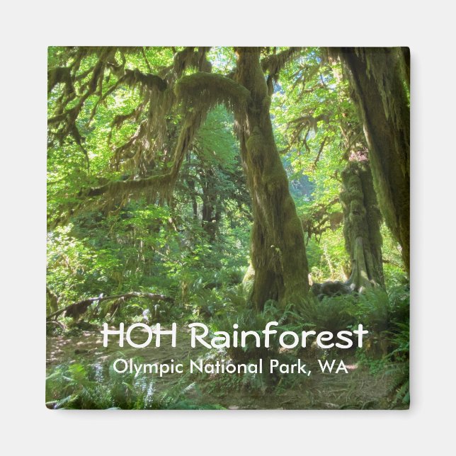 Souvenir Magnet—Hoh Rainforest, Olympic NP Magnet (Front)