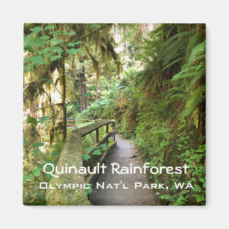 Souvenir Magnet—Quinault Rainforest, Olympic NP Magnet