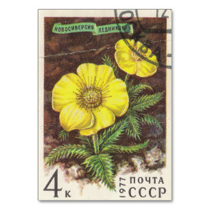 Soviet postage stamp Novosiversiya glacer Table Number