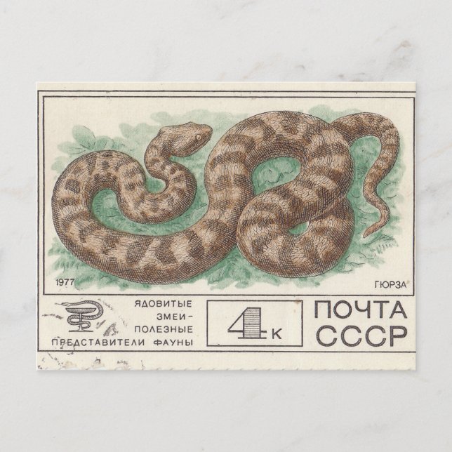 Soviet postage stamp  Viper Postcard (Front)