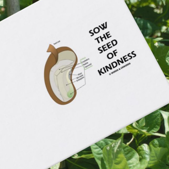 Sow The Seed Of Kindness (Dicotyledon Bean Seed) Business Card (Dicotyledon bean biz card for anyone who wishes to encourage others to 
"Sow The Seed Of Kindness")