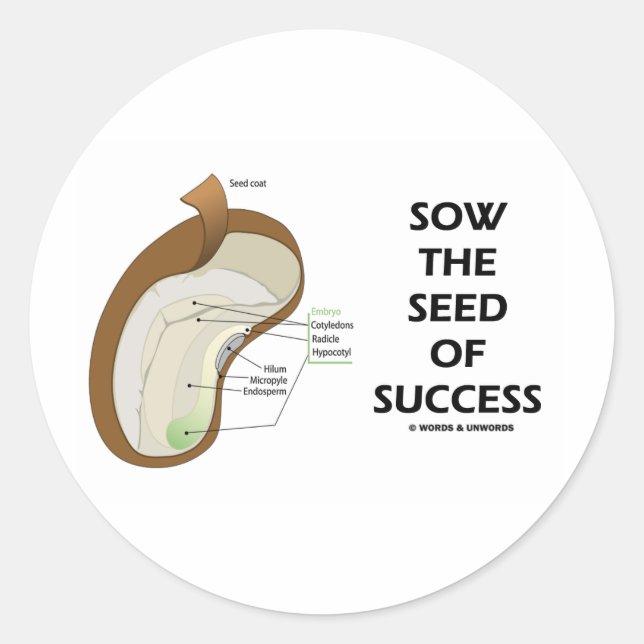 Sow The Seed Of Success (Seed Anatomy Humour) Classic Round Sticker (Front)