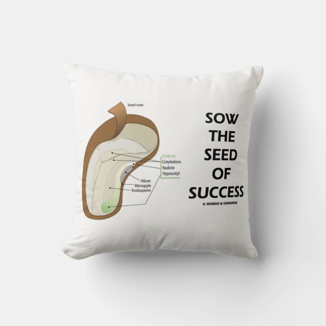 Sow The Seed Of Success (Seed Anatomy Humour) Cushion (Front)