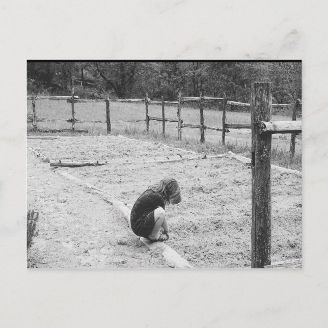 Sowing the Seeds of Love Postcard (Front)