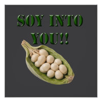 Soy Into You: A Vegan Love Story,