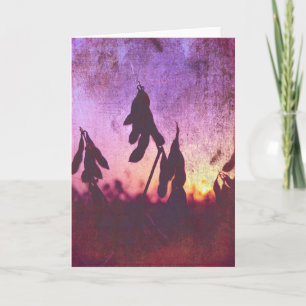 Soybean Sunset Grunge Card