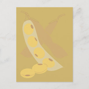 Soybeans Postcard