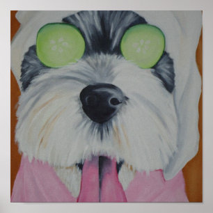 Spa Dog Poster