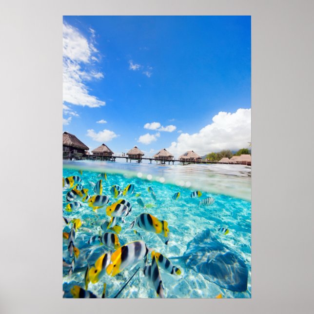 SPA resort Poster (Front)