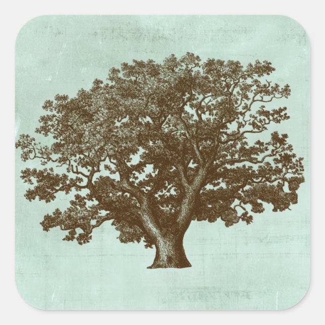 Spa Tree IV Square Sticker (Front)